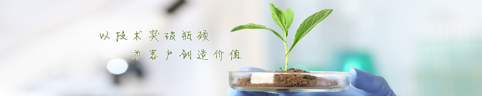 大巨龍靜美-大巨龍純色商用卷材pvc地板