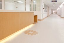 PVC卷材地板集所有地材優點于一身